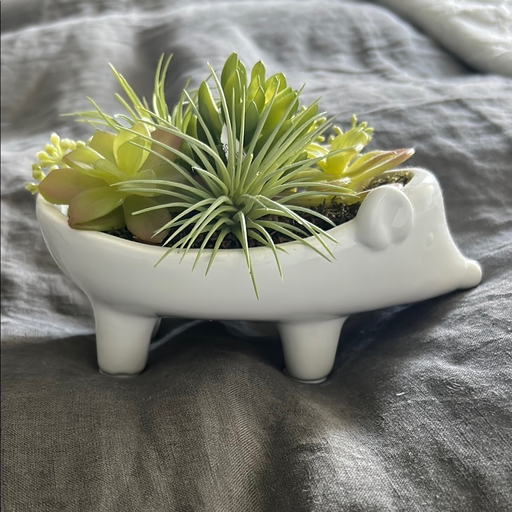 Hedge Hog Planter with Green Succulents - Picture 4 of 5